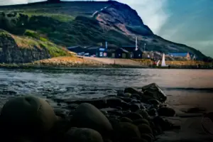 Article: A twisted tale of greed and manipulation