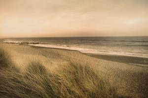 Death in the Dunes Page